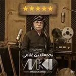 آلبوم طلایی 25 آهنگ محبوب و پر دانلود نجمهالدین غلامی - دانلود تکی و یکجا بهترین آهنگهای نجمه الدین غلامی